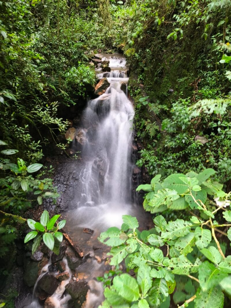Cascade Colombie