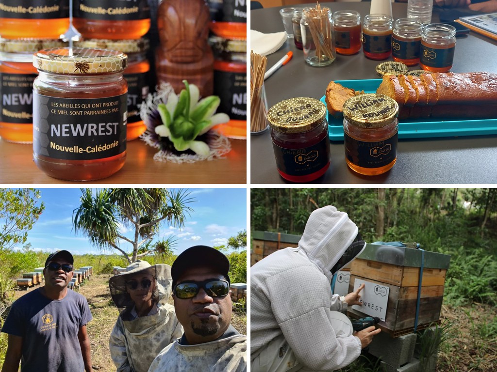 New-Caledonia Partnership Beehives